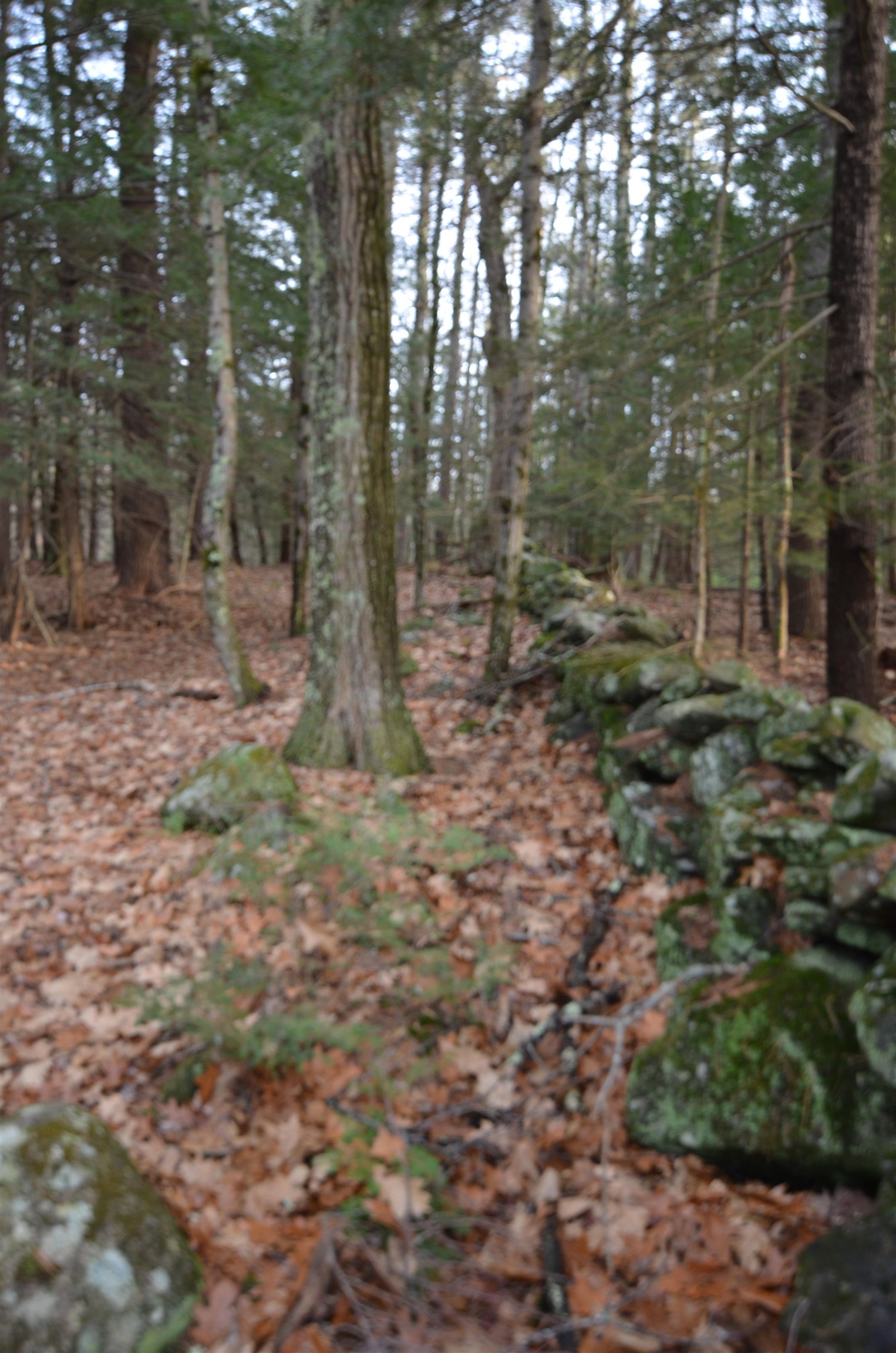 0 Crotched Mountain Road Greenfield, NH 03047 - Photo 8 of 9
