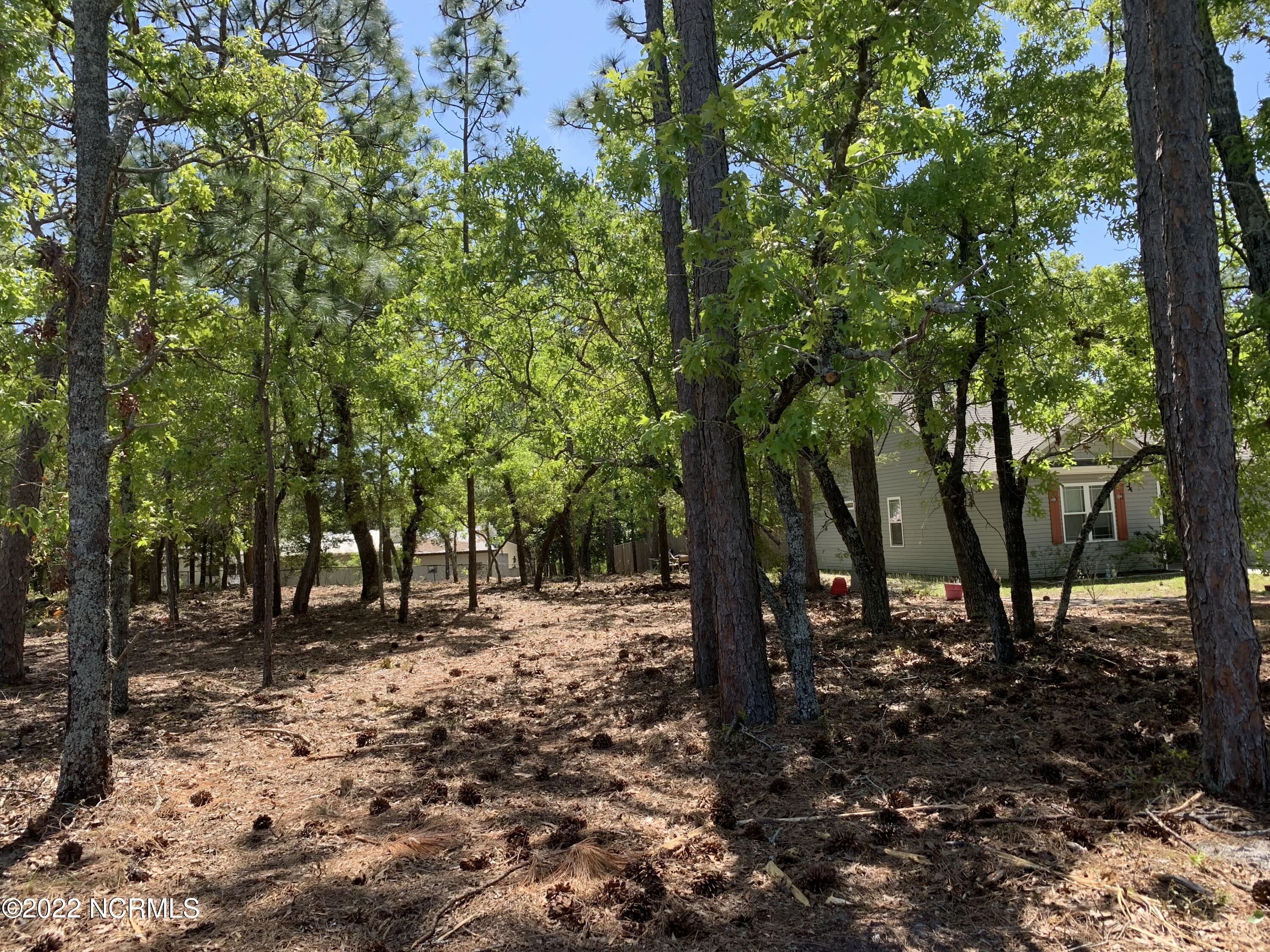 50 South High Point Road Boiling Spring Lakes, NC 28461 - Photo 1 of 2 Main