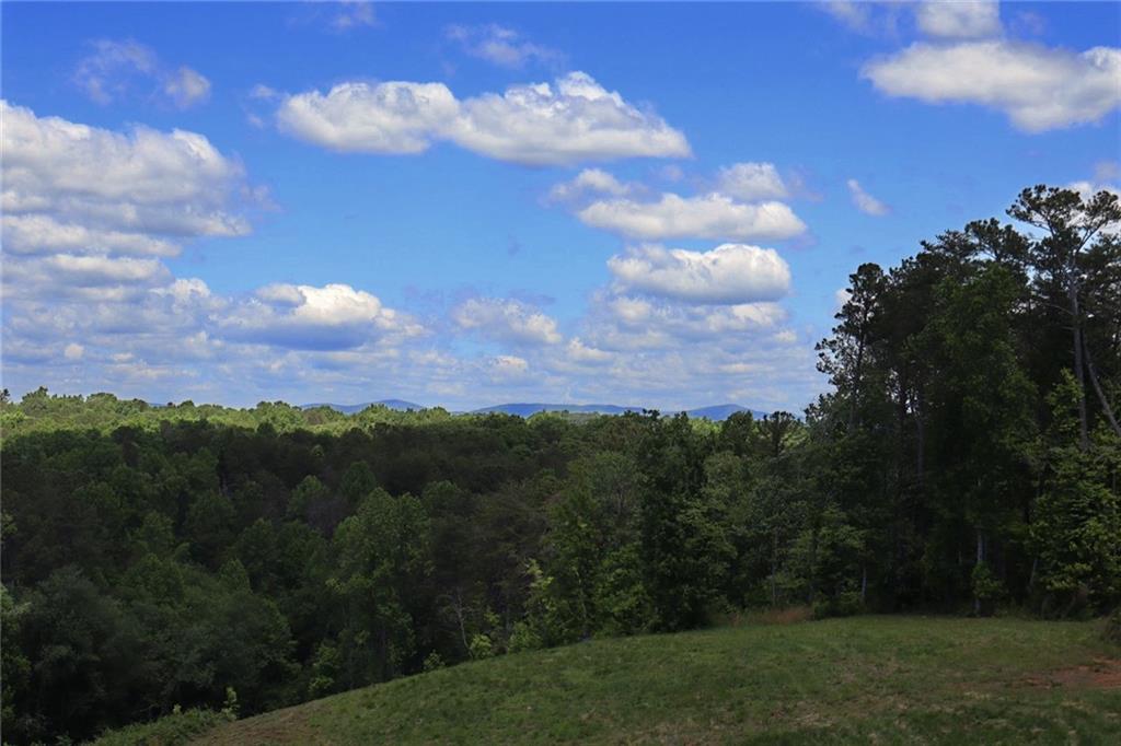 0 Parksbrook Road Ellijay, GA 30540 - Photo 10 of 67