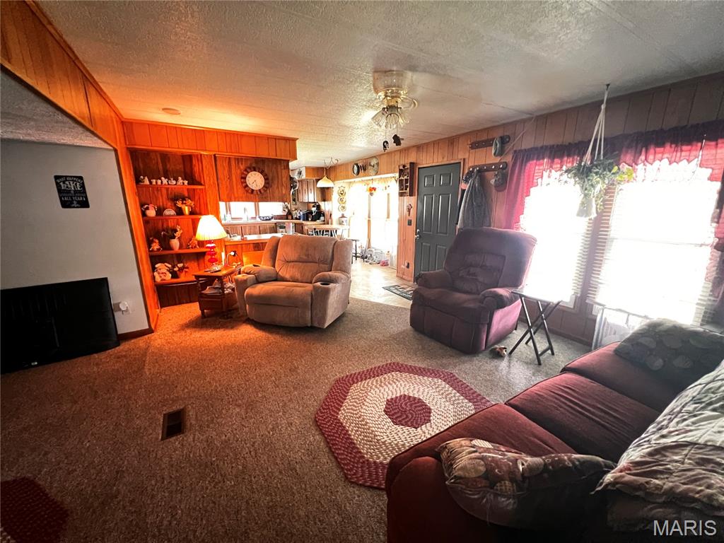 8360 Club Lane Alma, IL 62807 - Photo 12 of 24