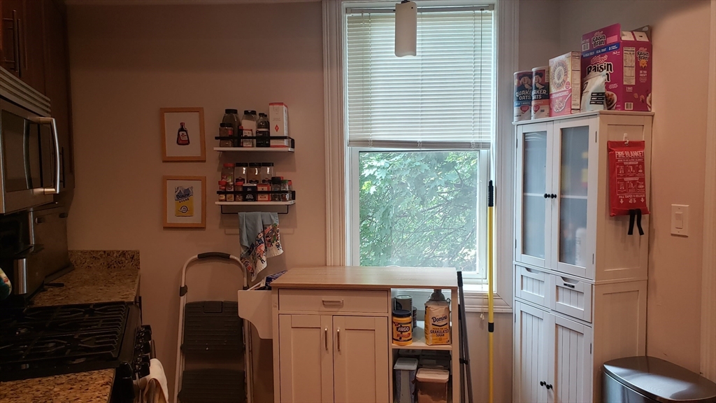 225 South Street, Unit 2 Boston, MA 02130 - Photo 5 of 14