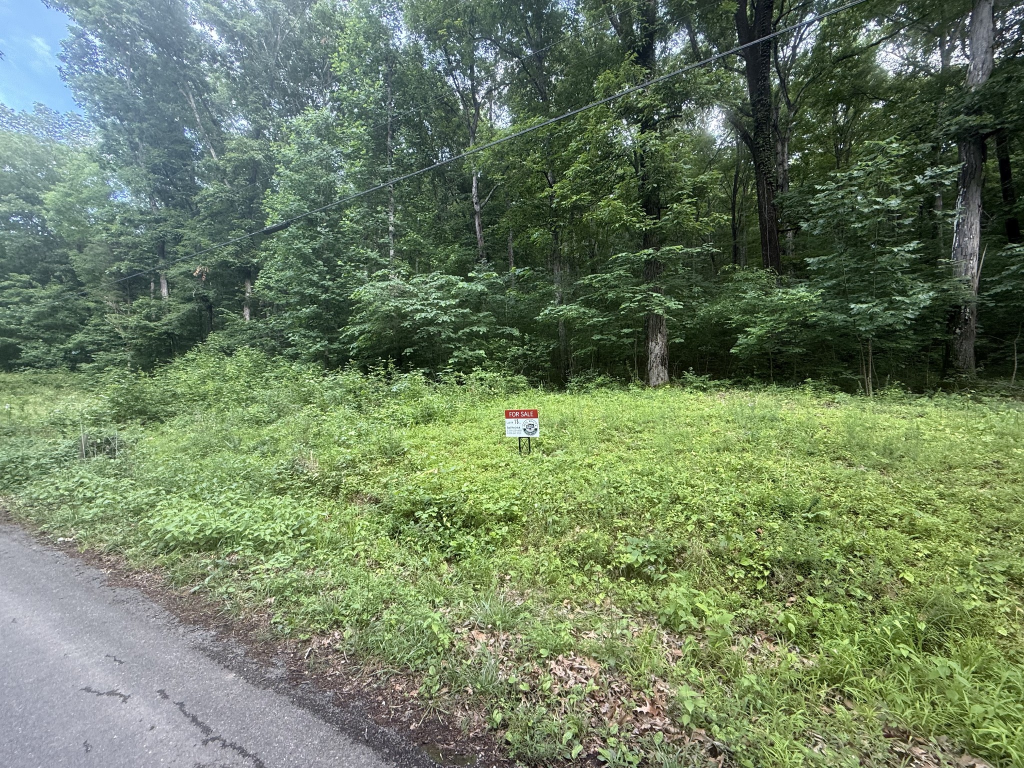 0 Caney Branch Road Stewart, TN 37175 - Photo 5 of 7 a backyard of a house with lots of green space and trees