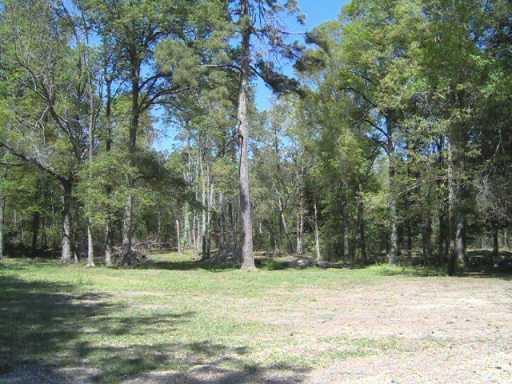 42754 Brown Road Ponchatoula, LA 70454 - Photo 8 of 8 Gallery Image 8