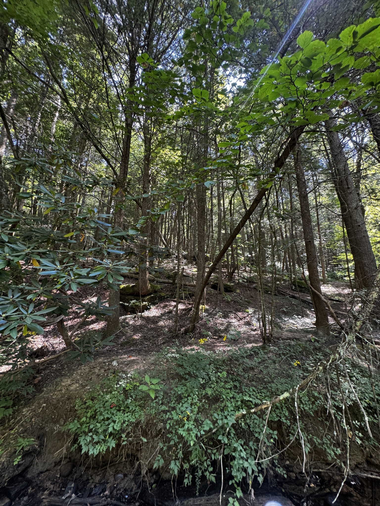 1475 Campground Road Clarkrange, TN 38553 - Photo 16 of 31 Gallery Image 16
