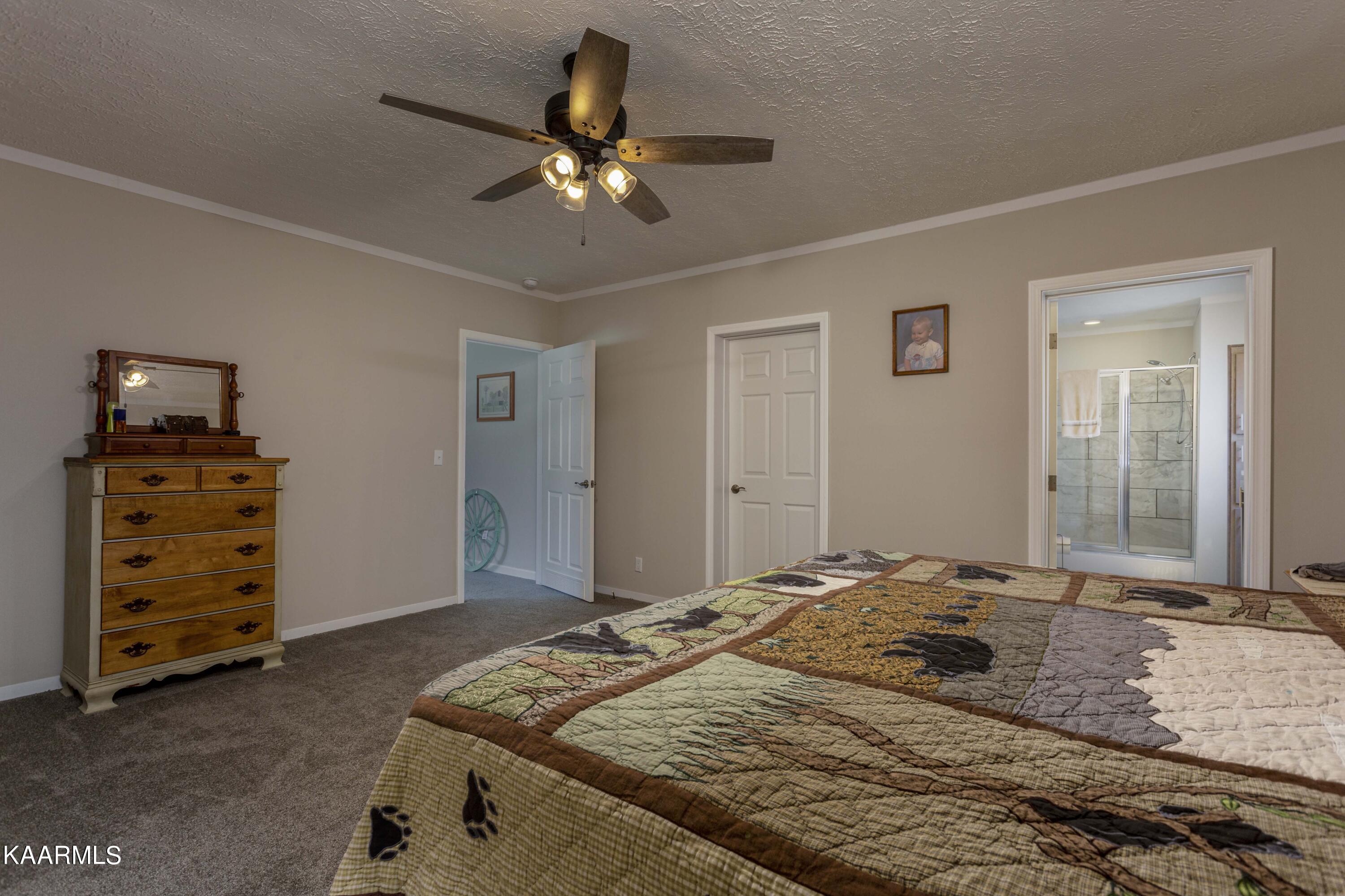 3530 Possum Trot Road Grandview, TN 37337 - Photo 15 of 39 15