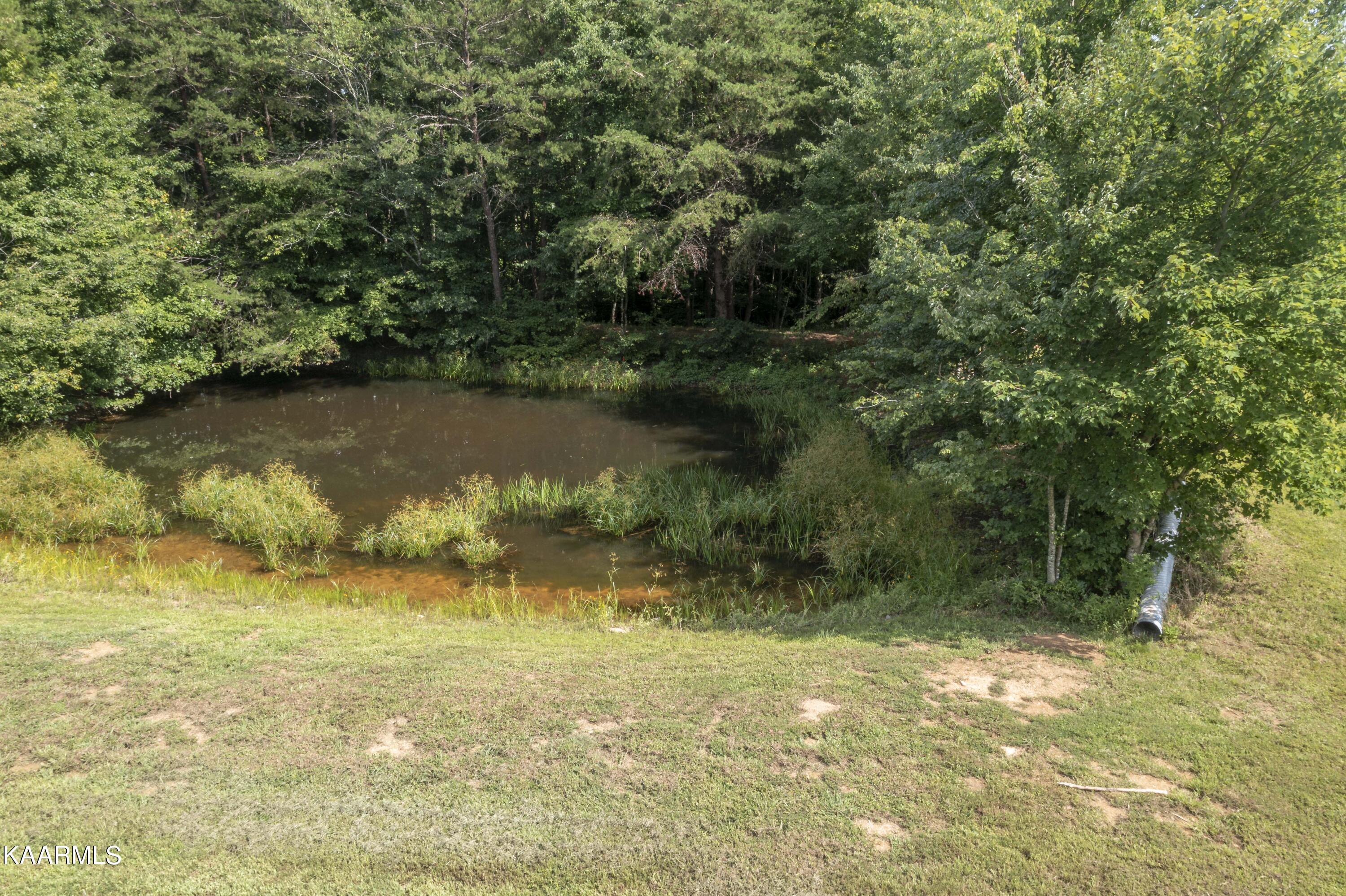 3530 Possum Trot Road Grandview, TN 37337 - Photo 38 of 39 38