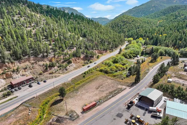 a view of a park with large trees