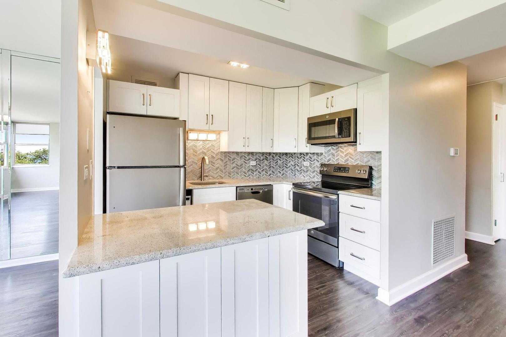 6301 North Sheridan Road, Unit 4G Chicago, IL 60660 - Photo 9 of 30