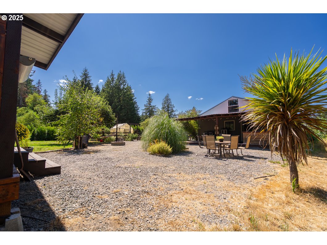 165 8th Place Mill City, OR 97360 - Photo 19 of 39 a view of a backyard with plants and a tree