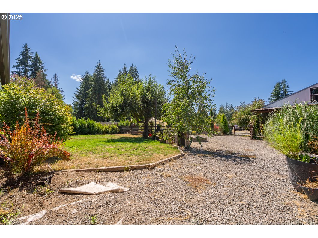 165 8th Place Mill City, OR 97360 - Photo 27 of 39 a view of outdoor space yard and trees