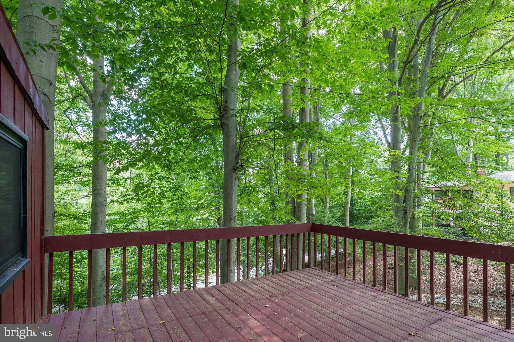 207 Hilltop Road Silver Spring, MD 20910 - Photo 49 of 64