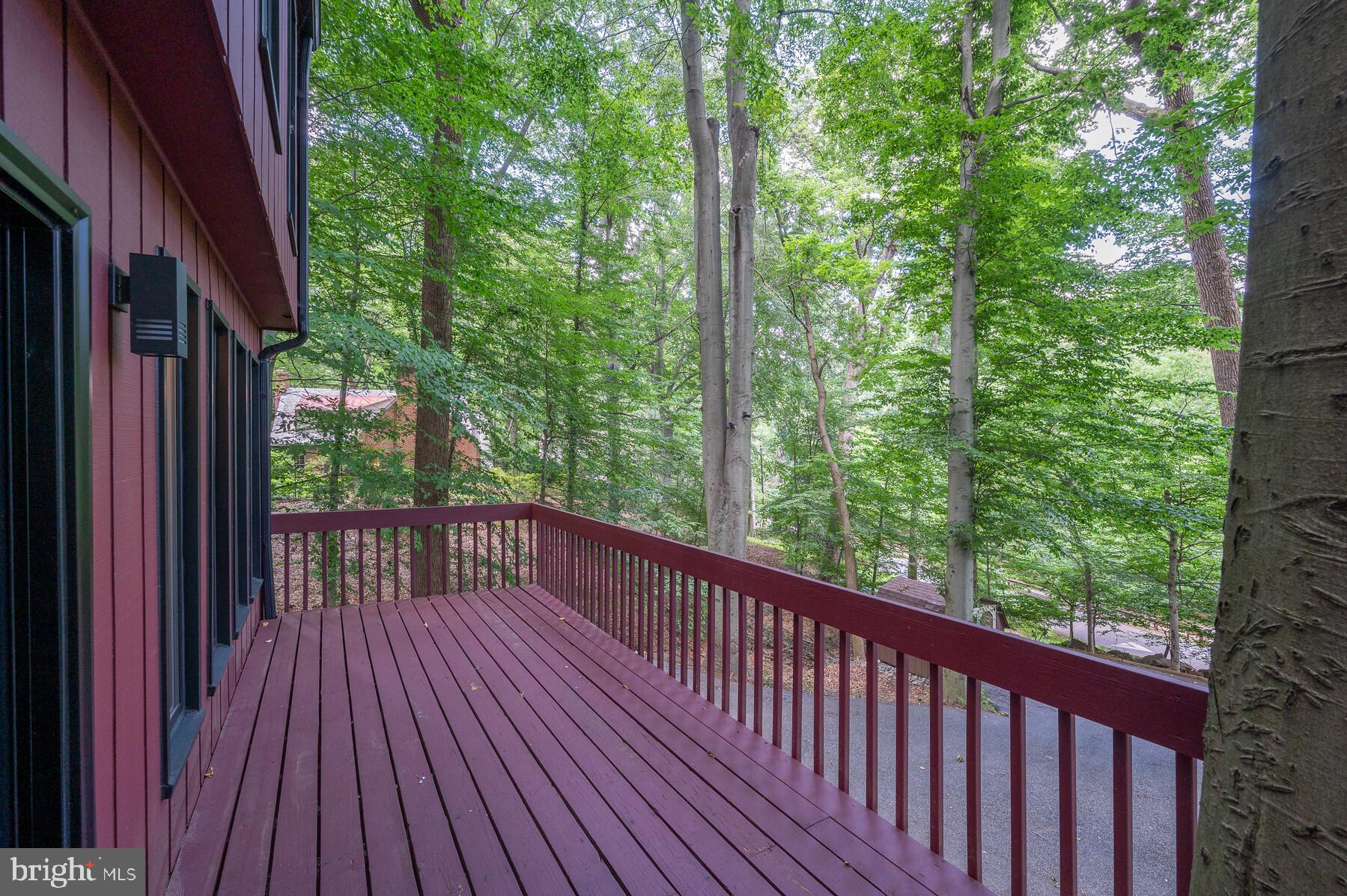 207 Hilltop Road Silver Spring, MD 20910 - Photo 51 of 64