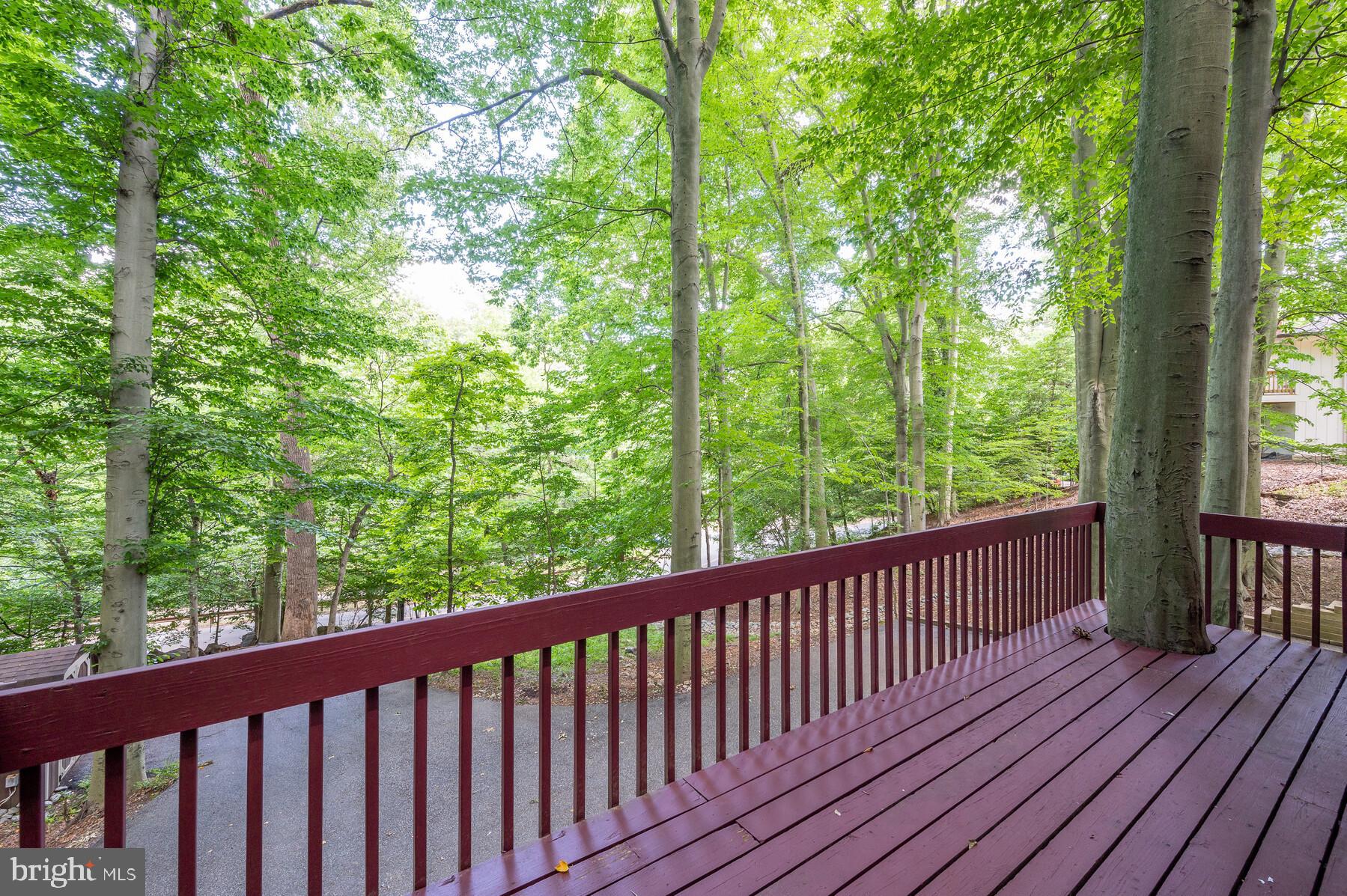 207 Hilltop Road Silver Spring, MD 20910 - Photo 52 of 64