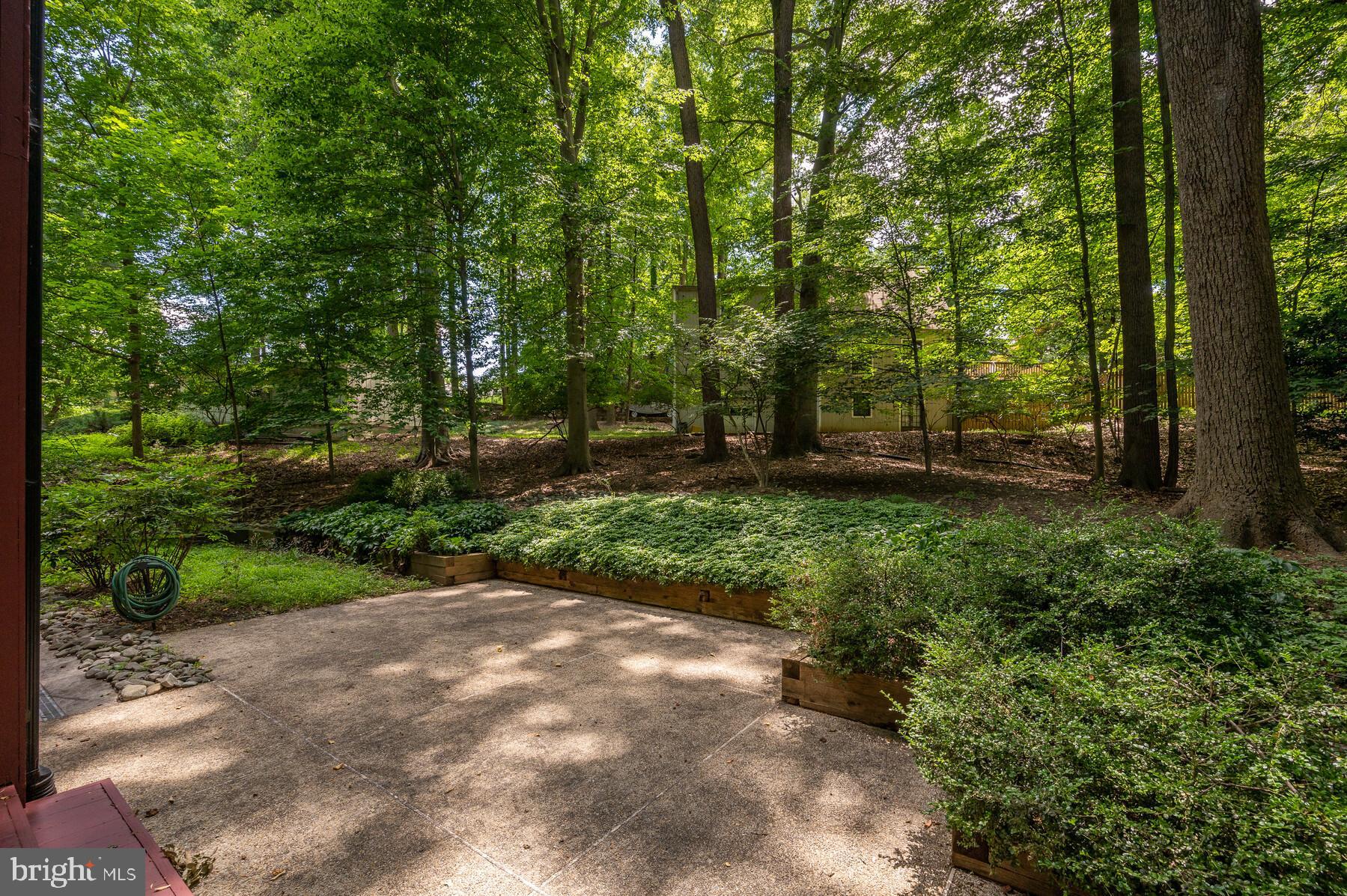 207 Hilltop Road Silver Spring, MD 20910 - Photo 56 of 64