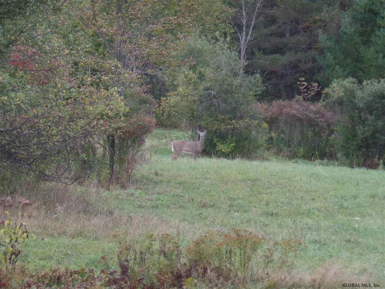1542 Huntersland Road Middleburgh, NY 12122 - Photo 20 of 24 Photo 20