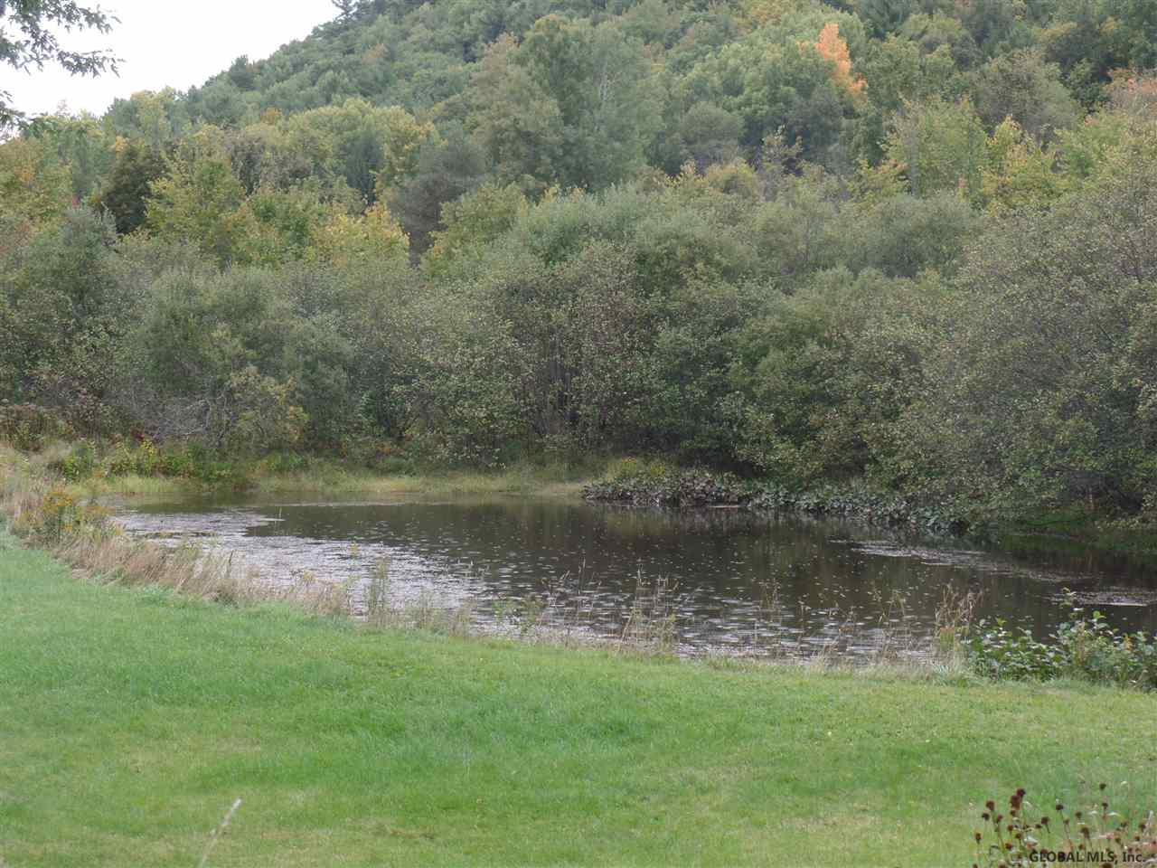 1542 Huntersland Road Middleburgh, NY 12122 - Photo 22 of 24 Photo 22