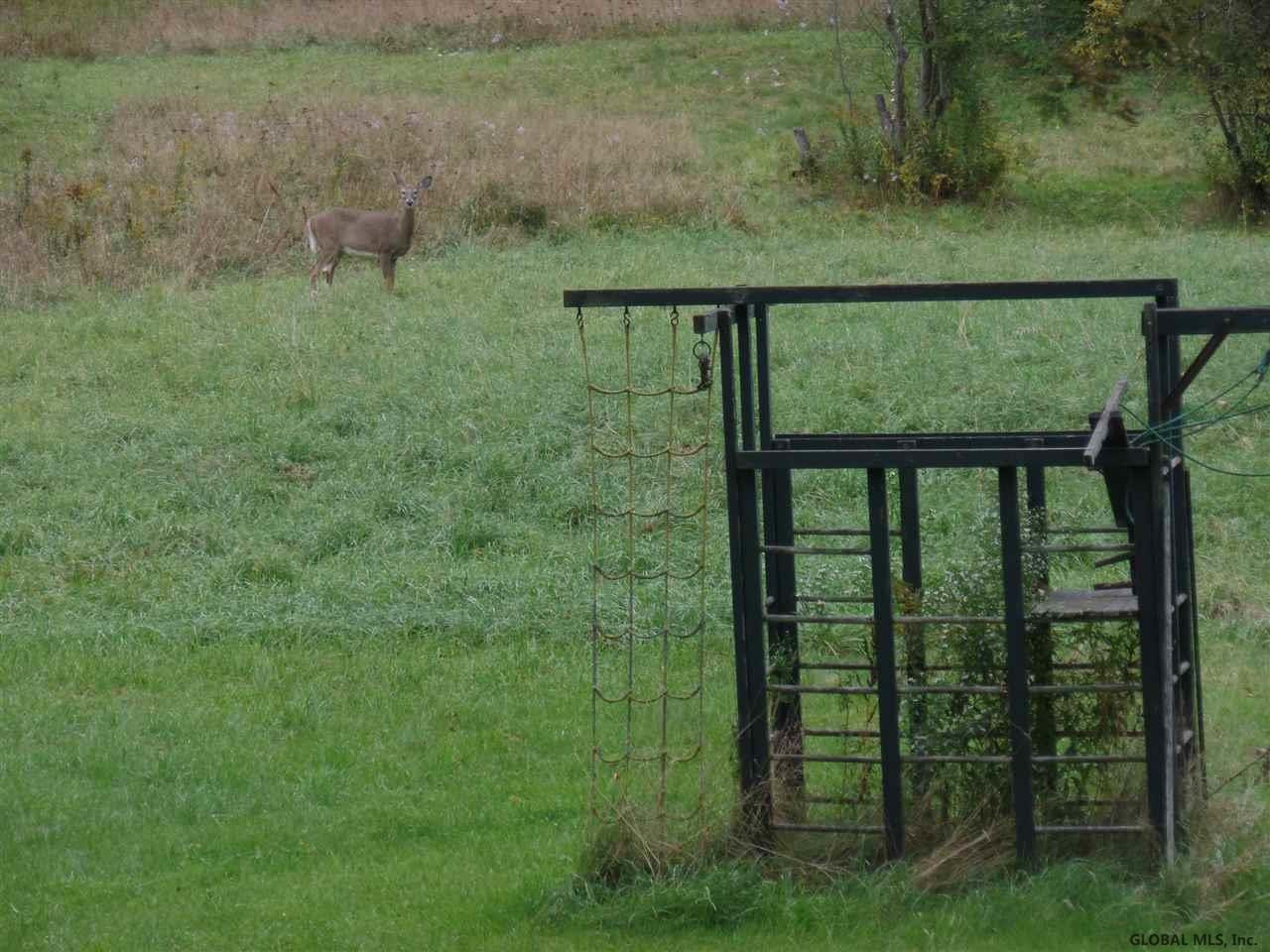 1542 Huntersland Road Middleburgh, NY 12122 - Photo 23 of 24 Photo 23