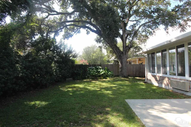 a view of a trees in a yard