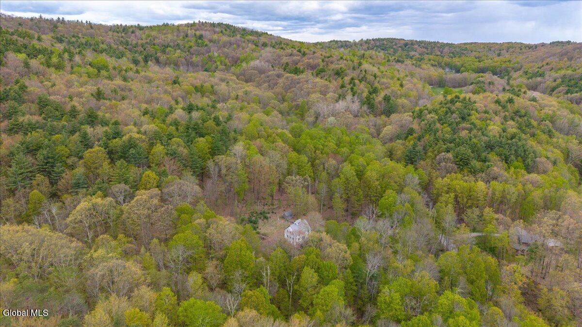 235 Colfax Road Jackson, NY 12816 - Photo 42 of 53 62-235 Colfax Rd-19