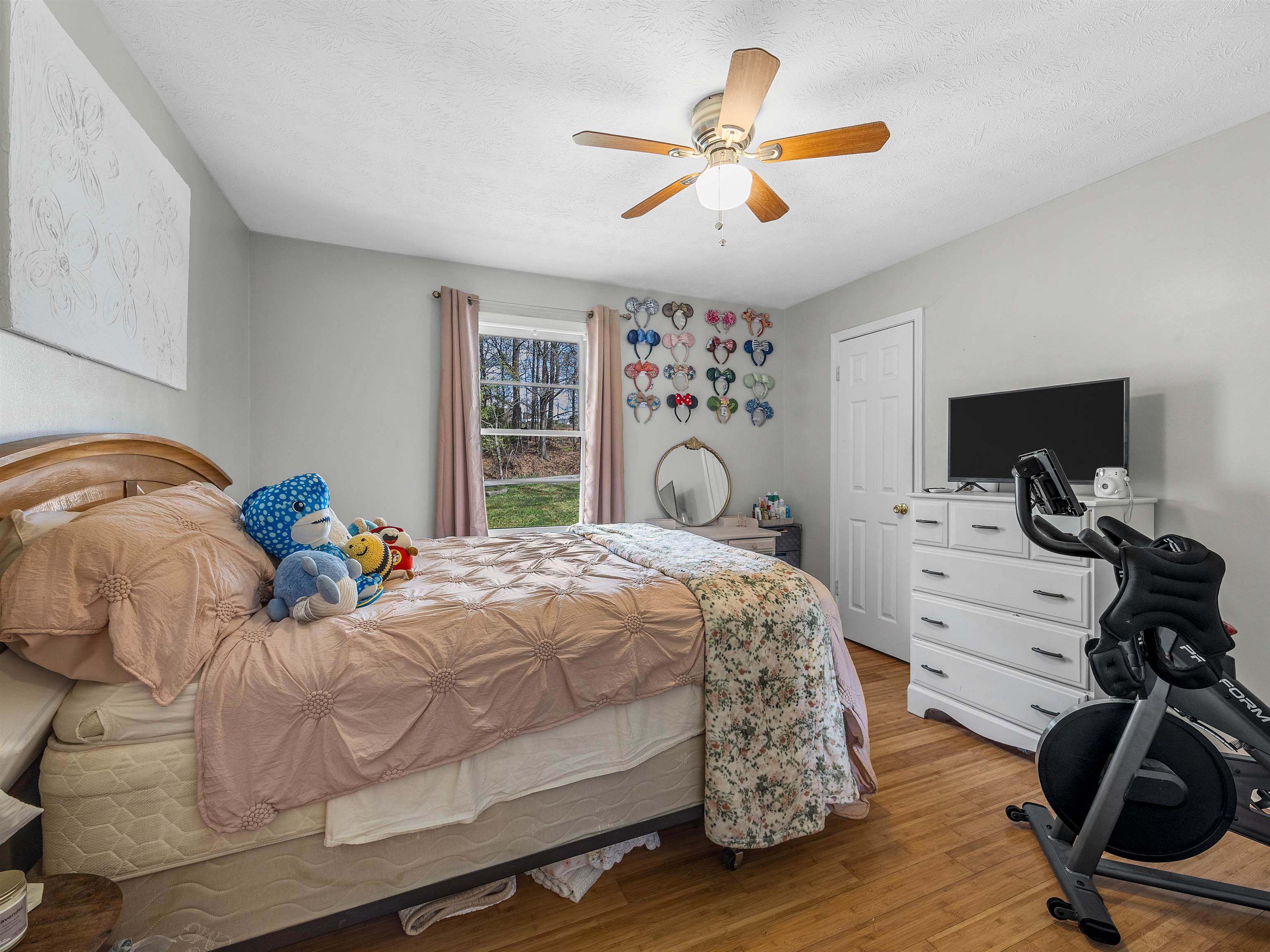 313 Tubbs Mountain Road Travelers Rest, SC 29690 - Photo 23 of 43