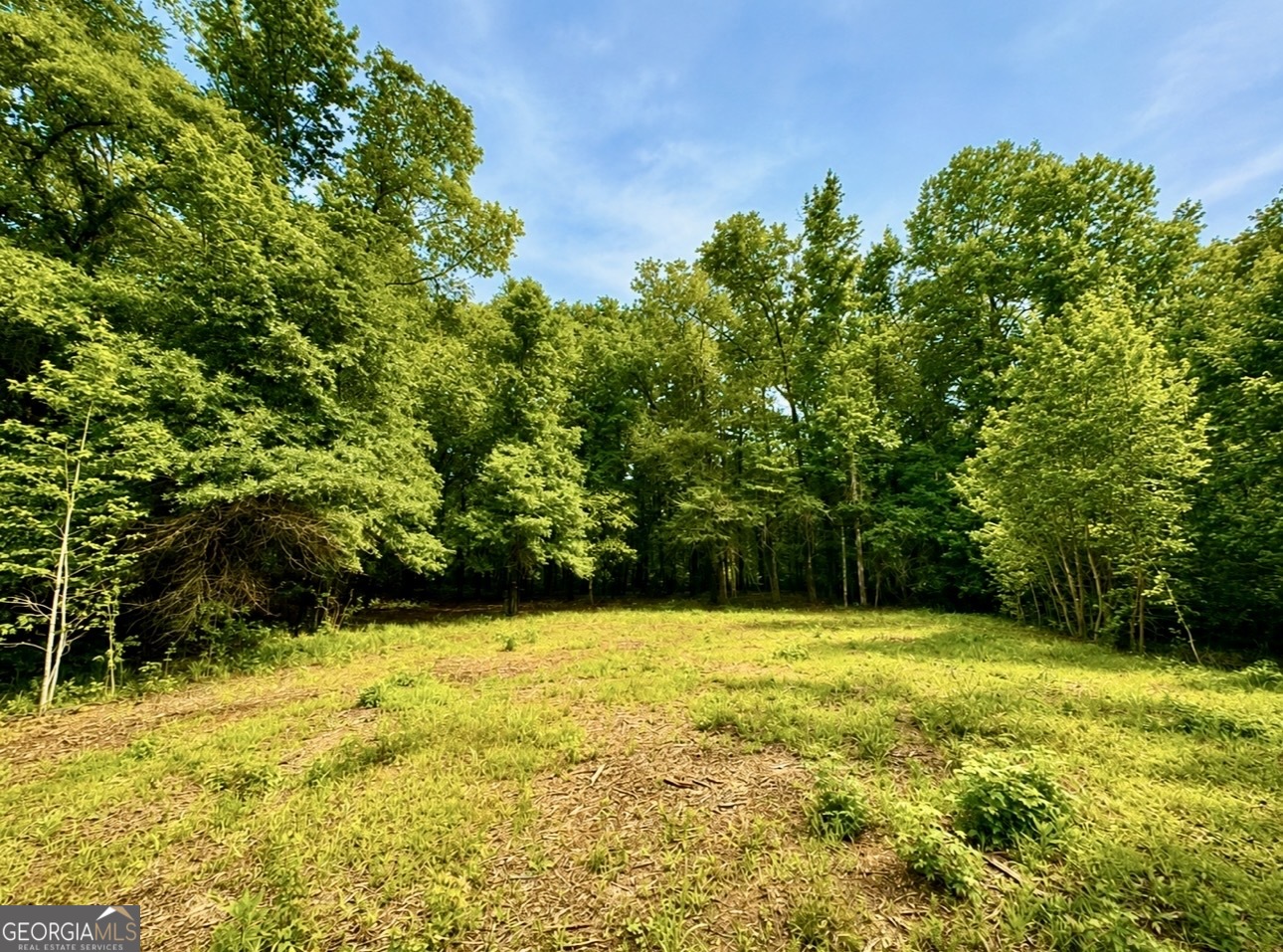 0 Rocky Creek Road Thomaston, GA 30286 - Photo 2 of 30