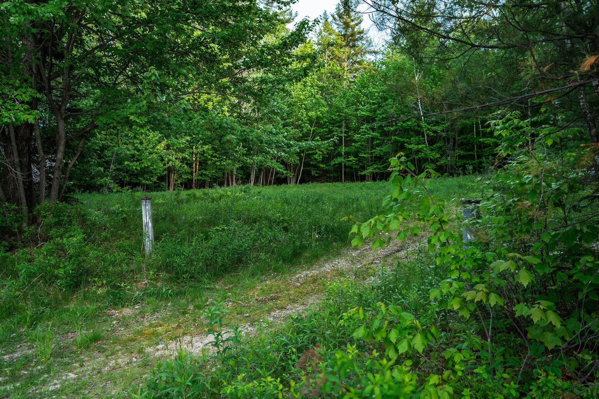 712 Main Street Sumner, ME 04292 - Photo 9 of 15 Driveway