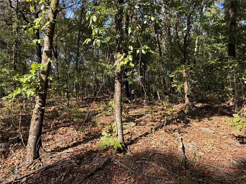 15901 Peaceful Home Road Natural Dam, AR 72948 - Photo 29 of 32 Gallery Image 29