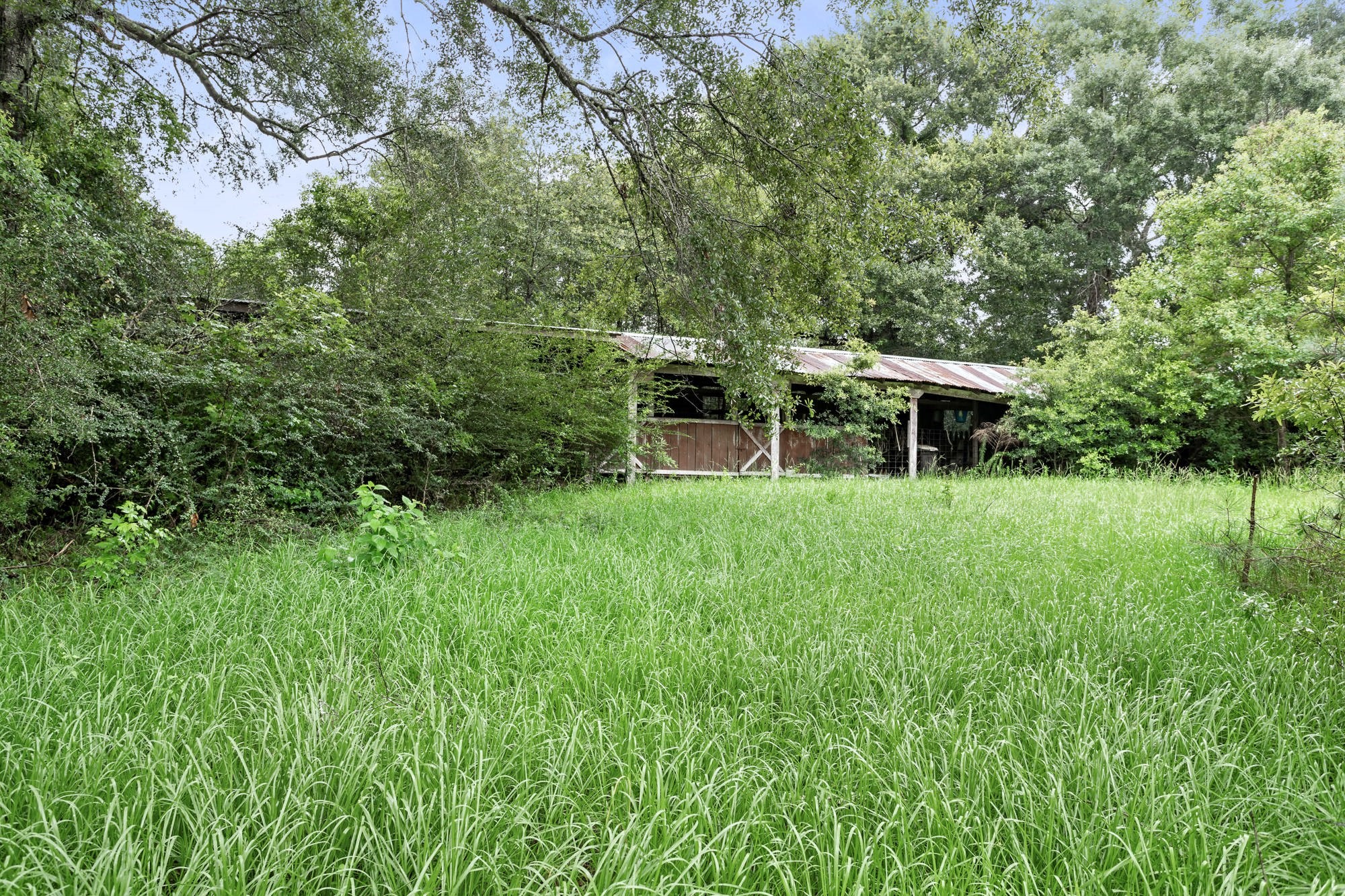 2830 FM 1943 Road West Warren, TX 77664 - Photo 29 of 35