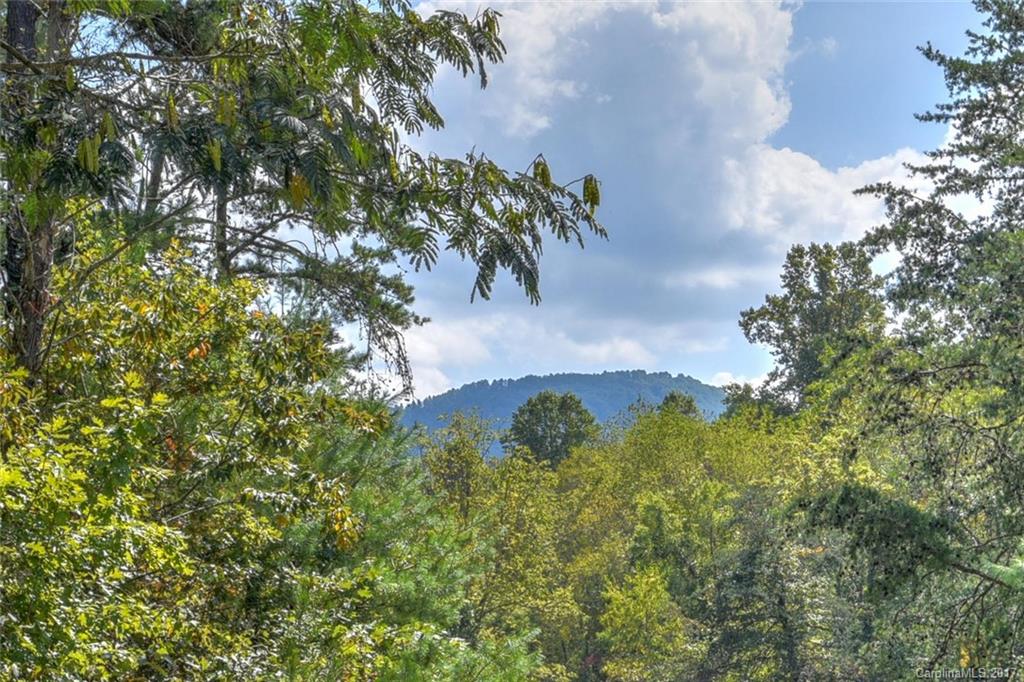 74 Cole Road Leicester, NC 28748 - Photo 21 of 23 Gallery Image 21