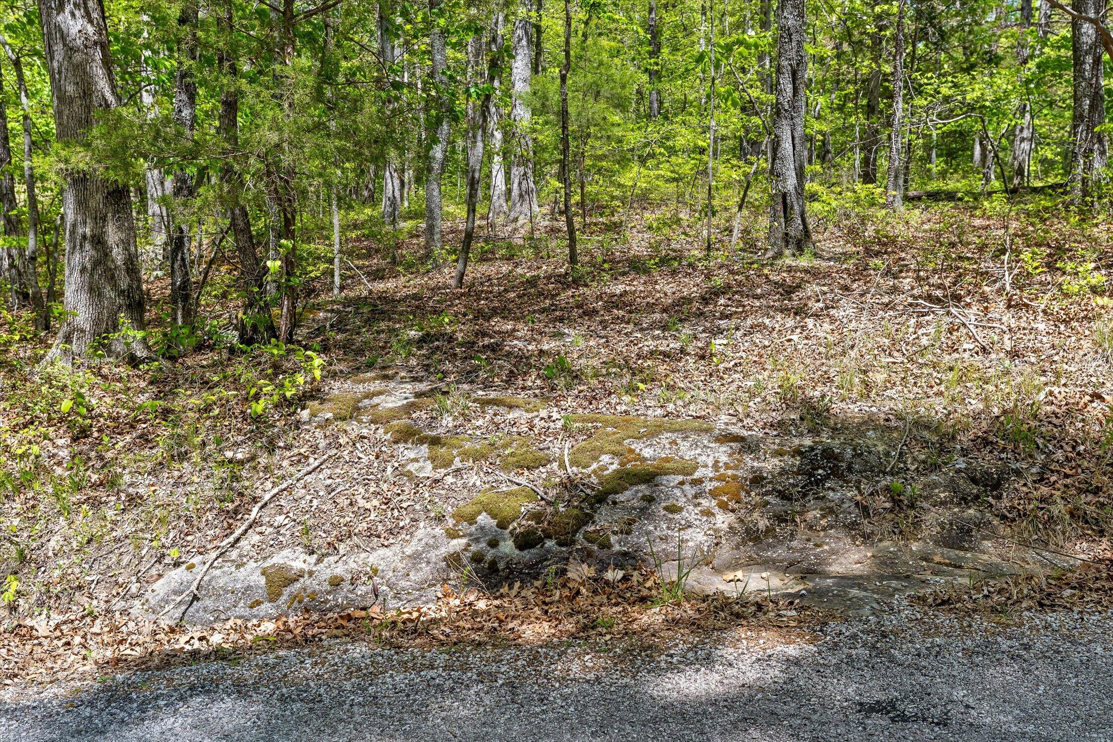 0 Deepwoods Road, Unit 5 Sewanee, TN 37375 - Photo 15 of 57 38-Deepwoods-38