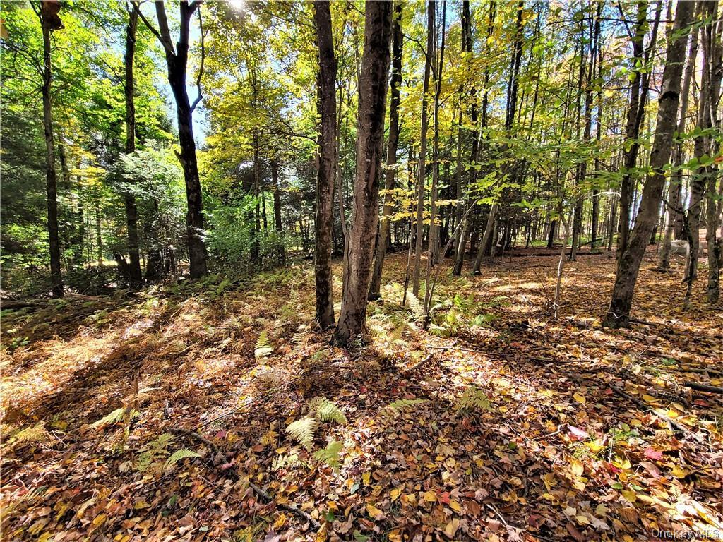 Lot 5.4 Kaufman Road Monticello, NY 12701 - Photo 39 of 45