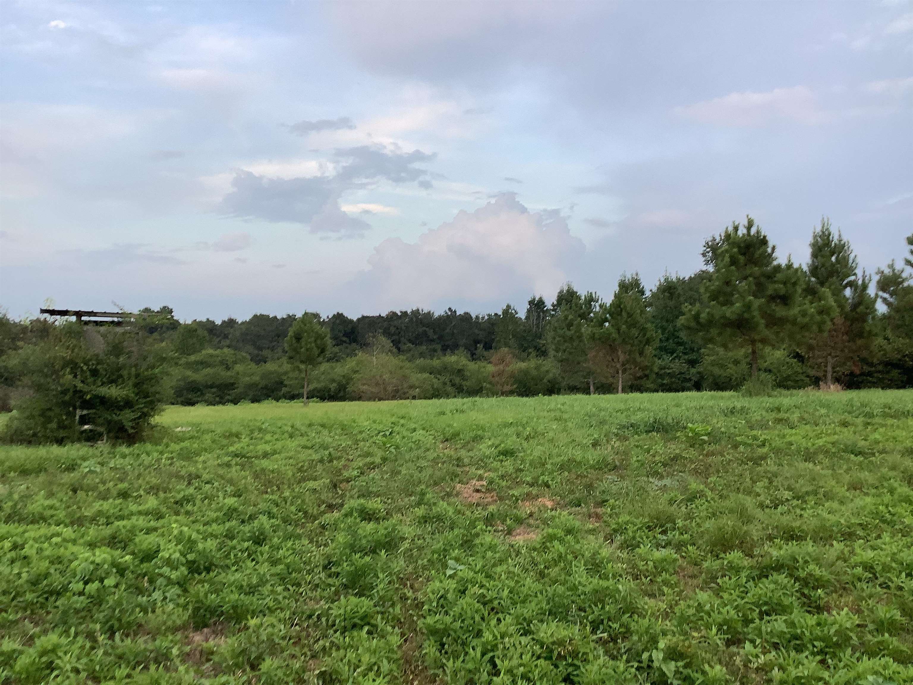 0 Old School Road Opp, AL 36467 - Photo 10 of 24 Gallery Image 10