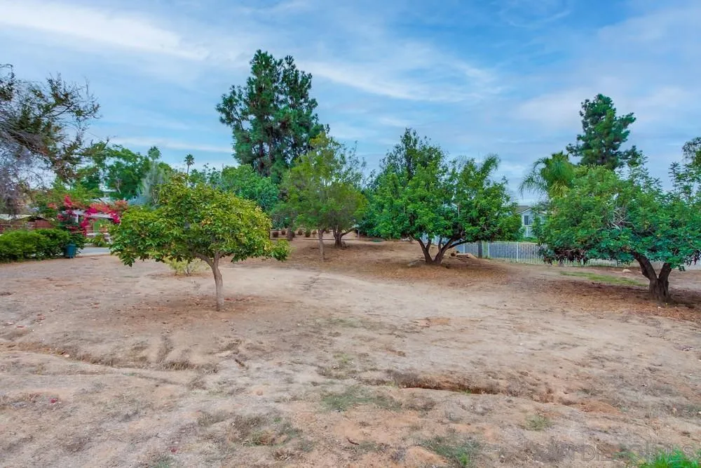 227 Hutchison Street Vista, CA 92084 - Photo 56 of 58 a view of a road with a plant in the background