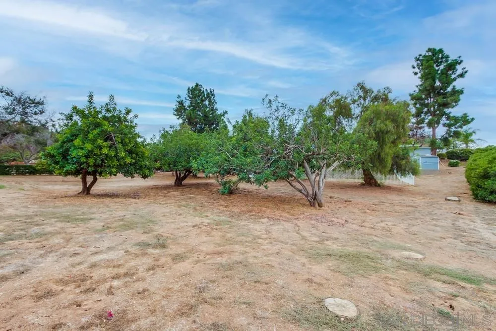 227 Hutchison Street Vista, CA 92084 - Photo 57 of 58 a view of a yard with plants and a trees