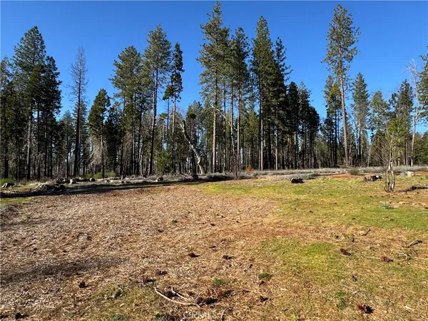 a view of outdoor space with trees