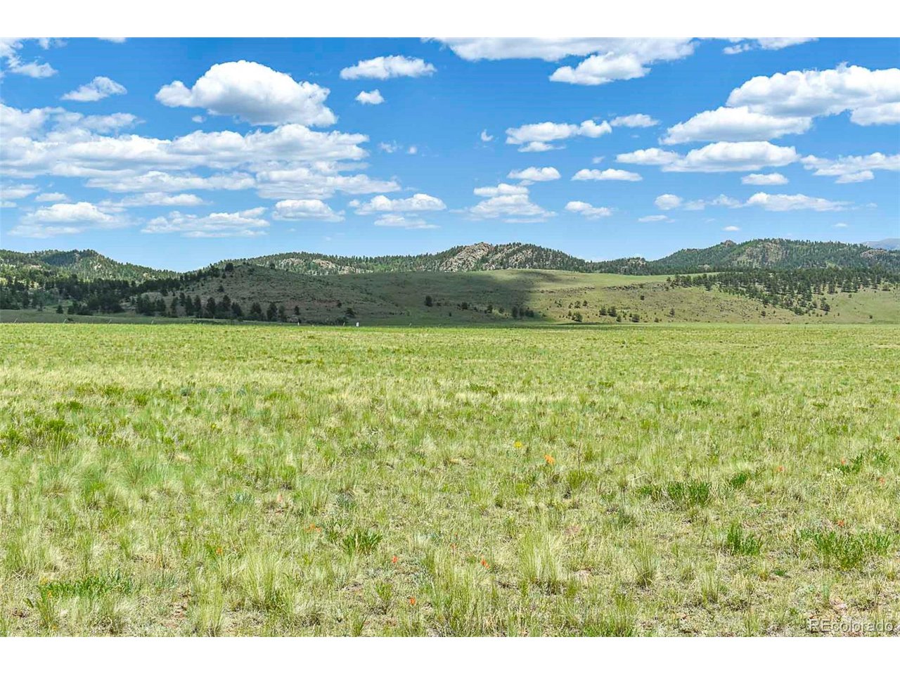 63 County Road Guffey, CO 80820 - Photo 29 of 35 Gallery Image 29
