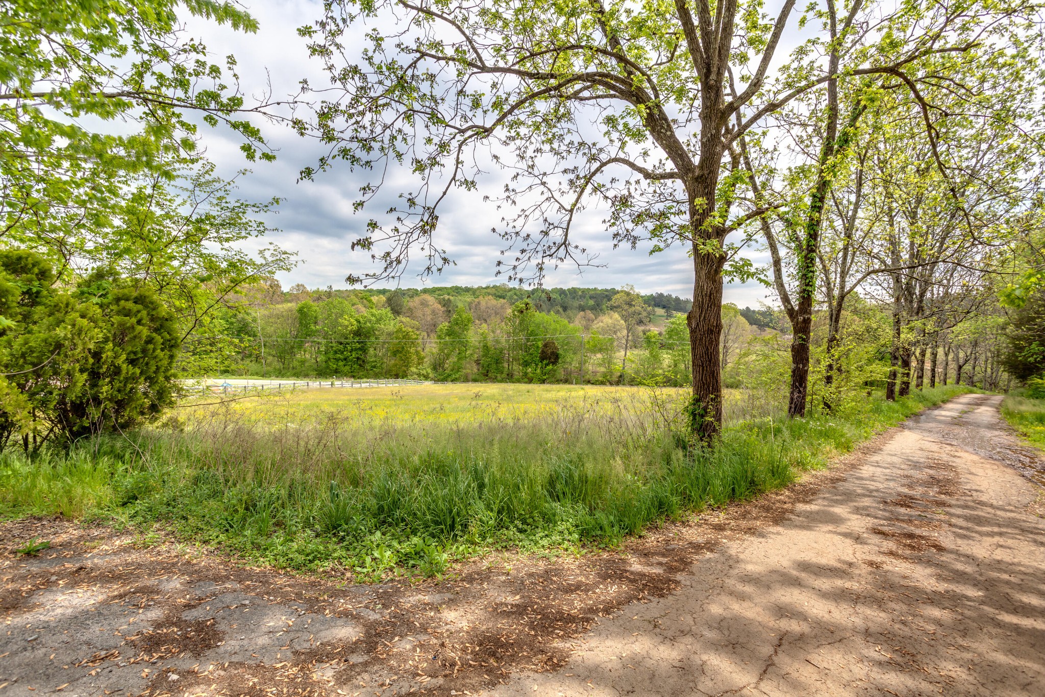 3045 Oakland Road Philadelphia, TN 37846 - Photo 35 of 37 a view of a yard with large trees