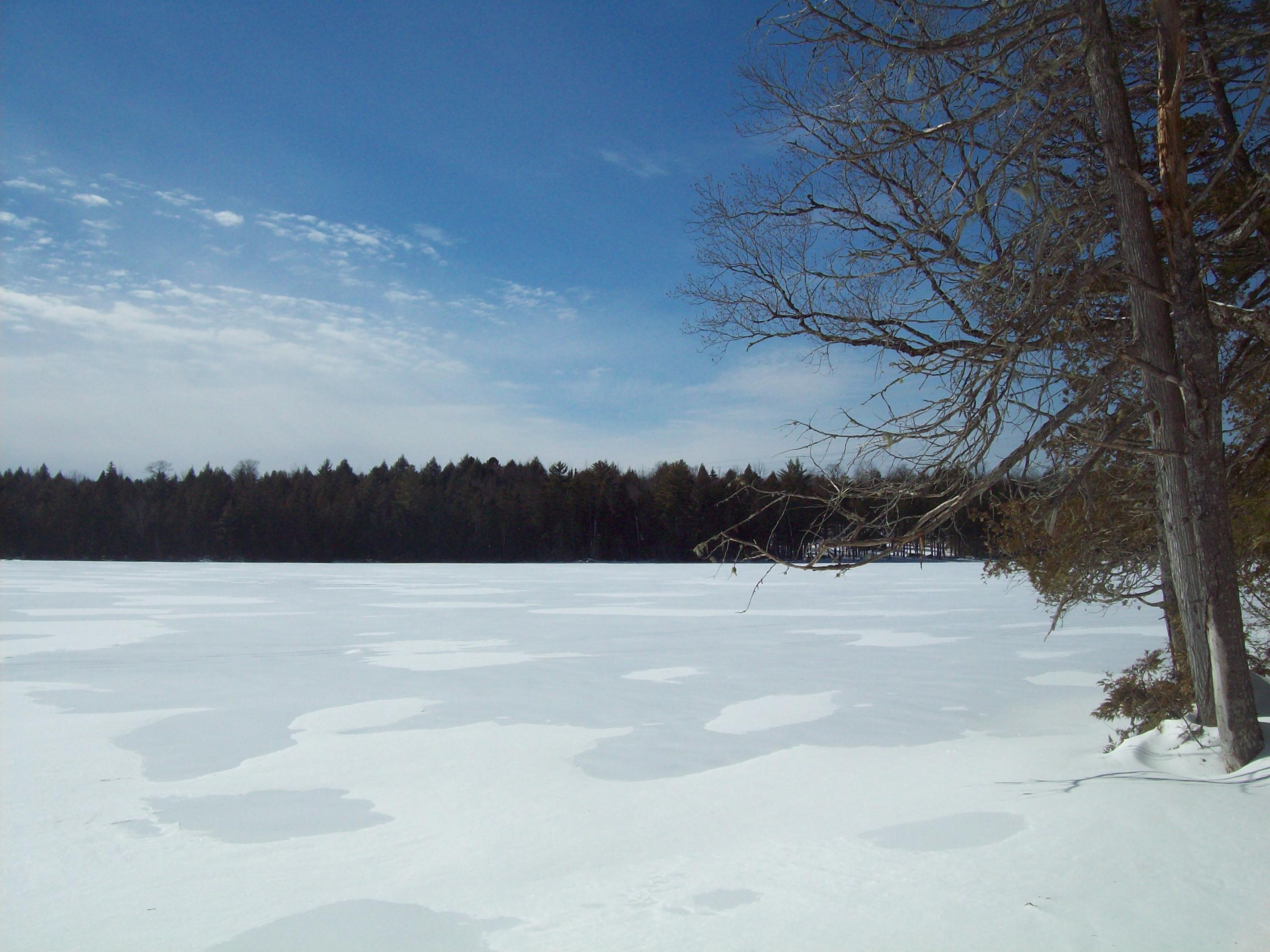 221 Upper Pug Road Lakeville, ME 04487 - Photo 3 of 13 100_1636