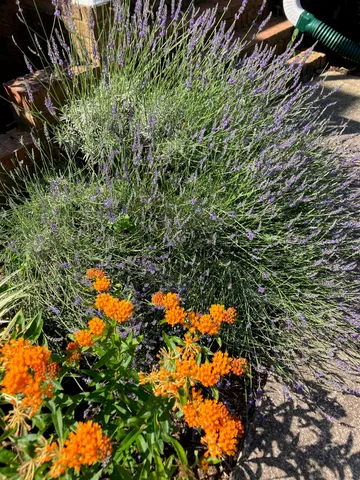 a kitchen with appliances a sink and cabinets