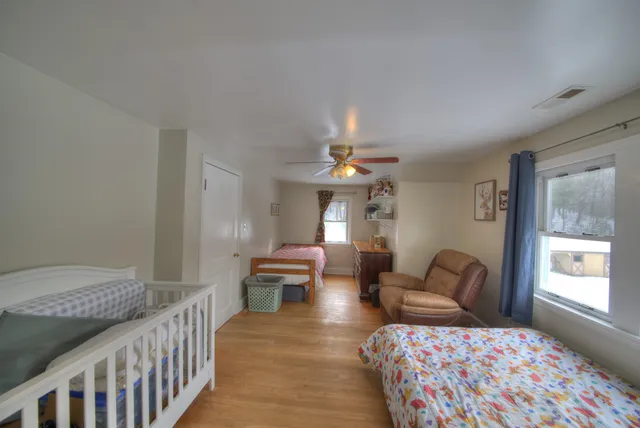 a view of banana tree