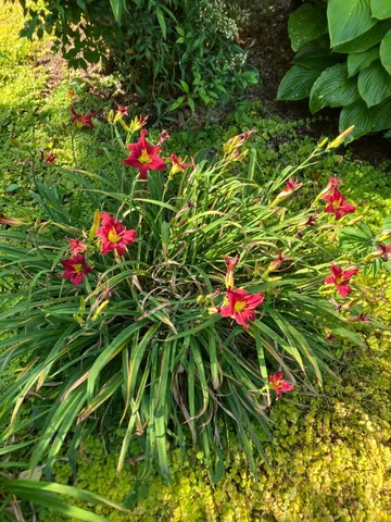 $350,000 | 7011 South East Highway, Elkton, VA 22827