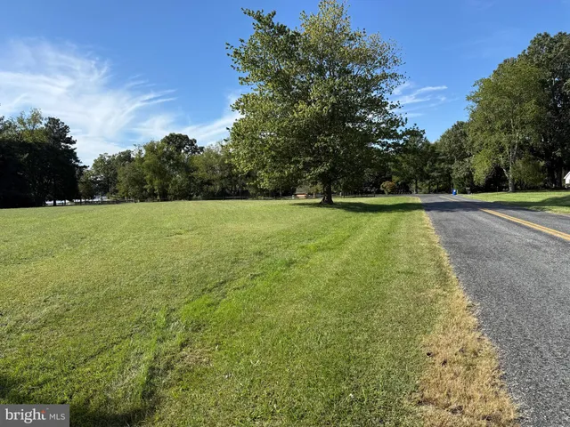 a view of a field of grass and trees