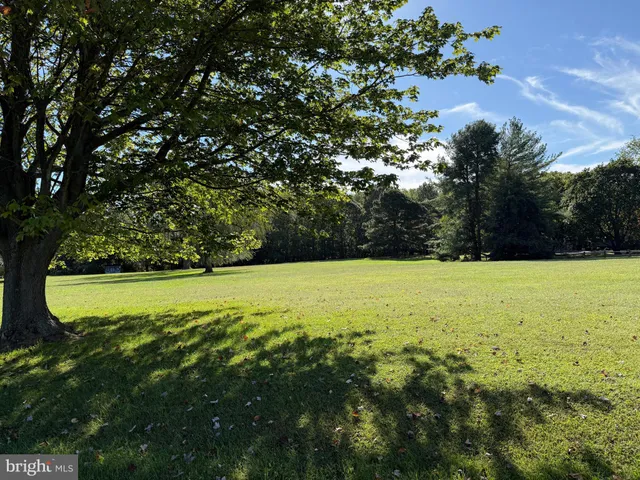 a view of a field with an trees