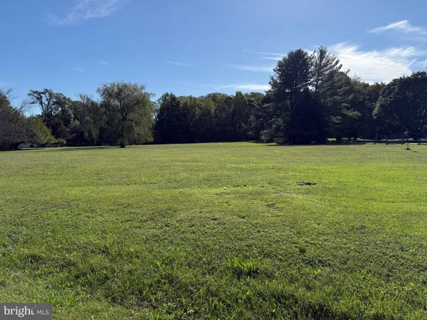 a view of a field with a trees in the background