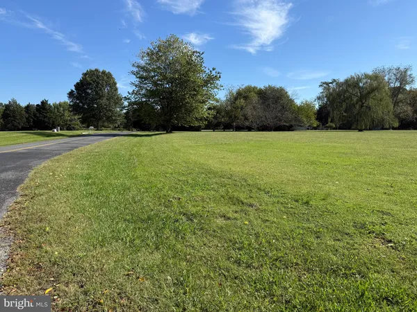 a view of a green field with clear sky