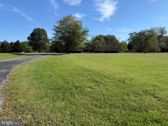 a view of a green field with clear sky
