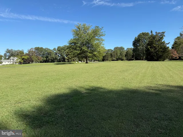 a view of a yard with a trees