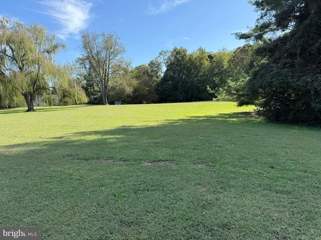 a view of a trees in a yard