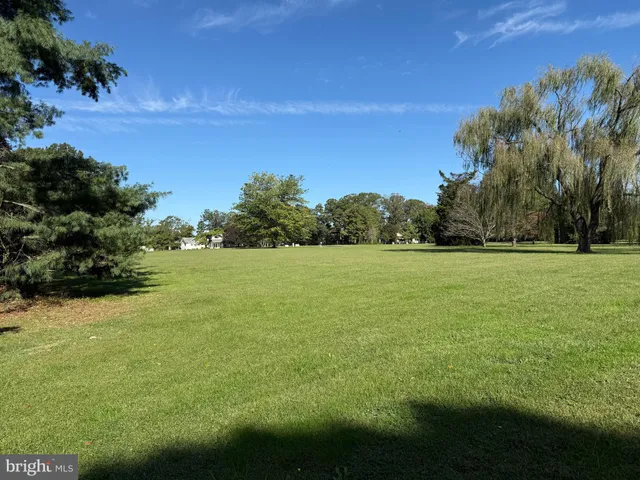 a view of a green field