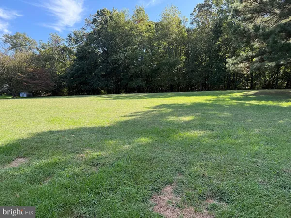 a big yard with lots of green space